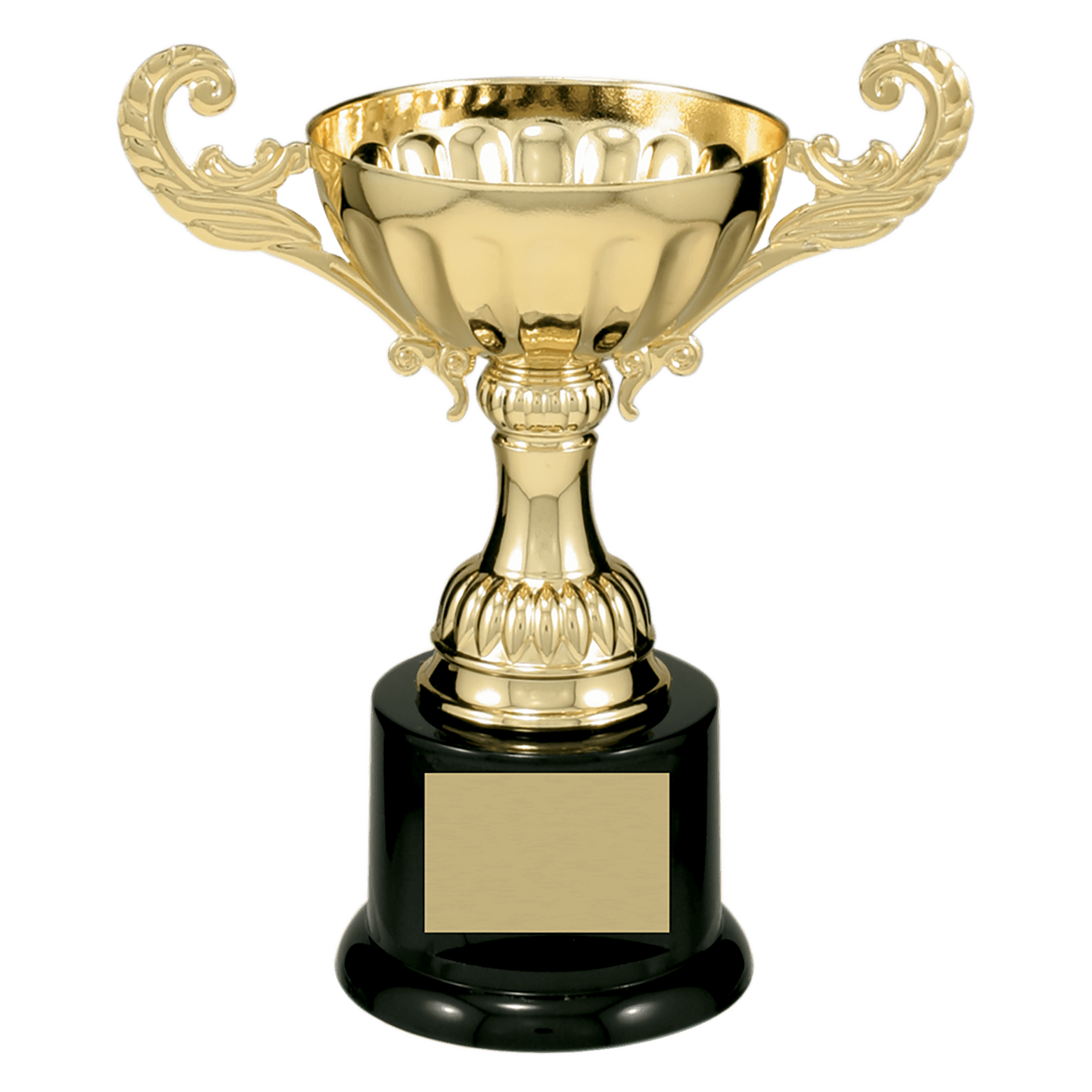 Cups & Championship Trophies