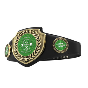 Example of express antique shield championship belt